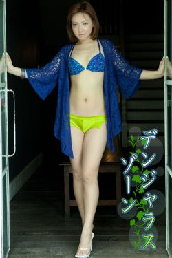 观鹤笔记